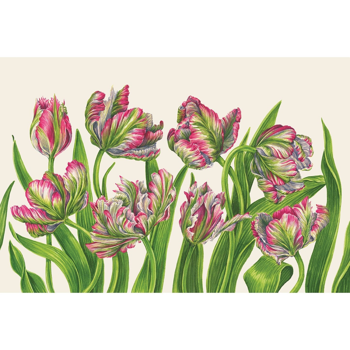 Parrot Tulip Field Placemat